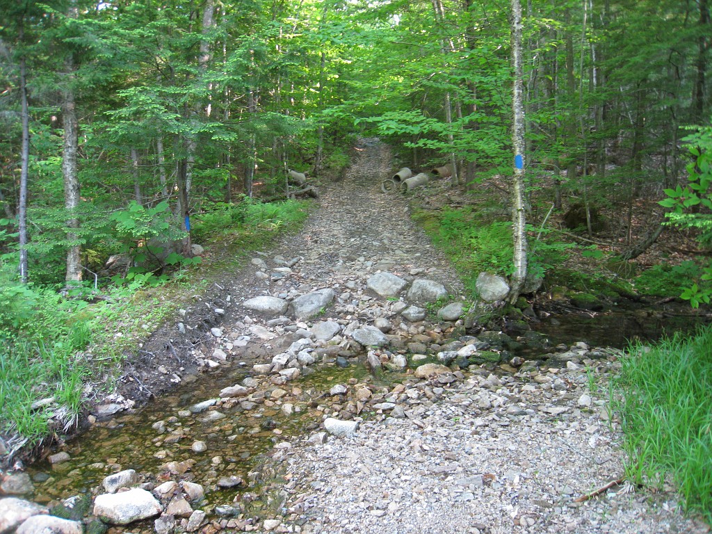 Elwell Trail NH 2010 275.jpg - The Elwell Trail North of Bristol NH, runs along Newfound Lake. The trail goes to Little and Big Sugarloaf mountains. Supposedly it also connects to Mt Cardigan. May 2010.